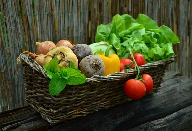 Healthy foods to lose weight
