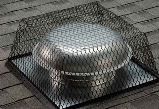 Wildlife x team oklahoma city offers professional wildlife exclusion services.