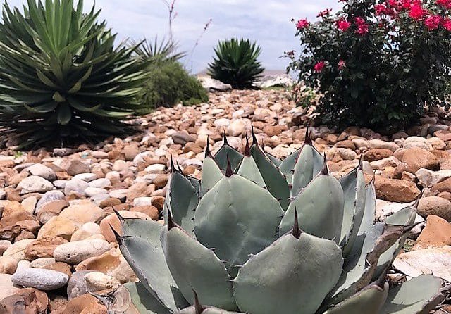 Residential Landscaping Company for Austin and Central Tx