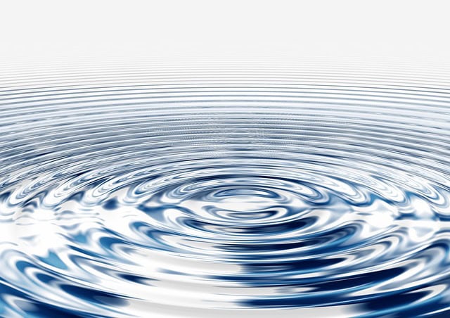 Water ripple pattern with concentric circles on a calm surface.