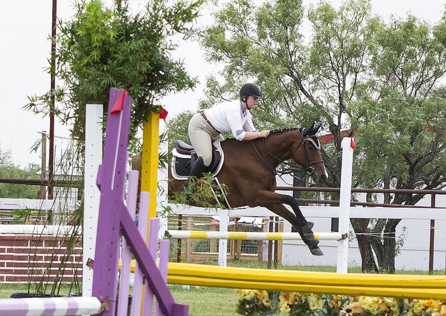 15383944802_6b06228cba_z