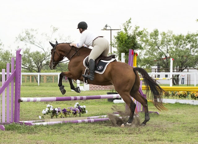 15197585820_1409a7fe0d_z