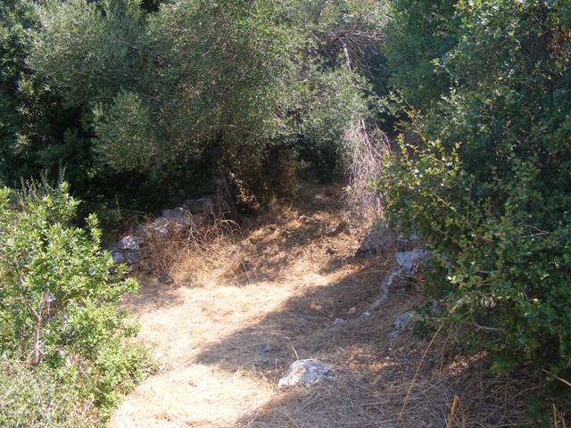 sale evia building land