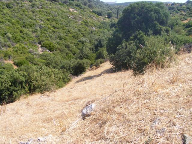 sale evia building land