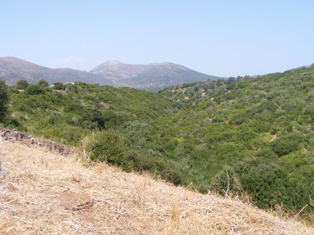 sale evia building land