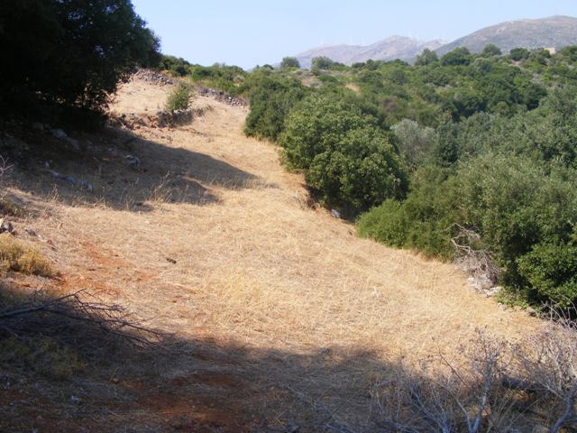 sale evia building land