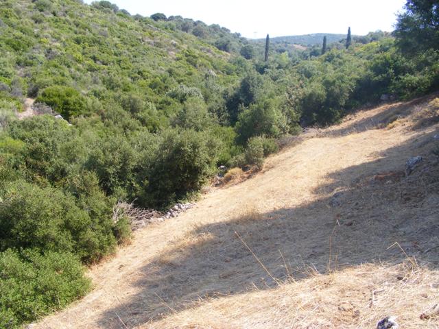 sale evia building land