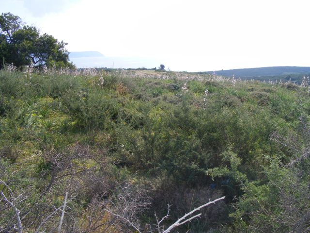 Kefalonia land for sale