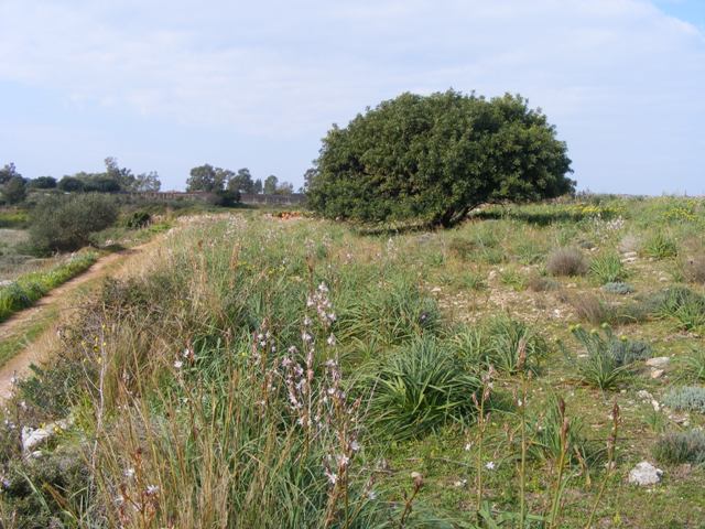 Kefalonia land for sale