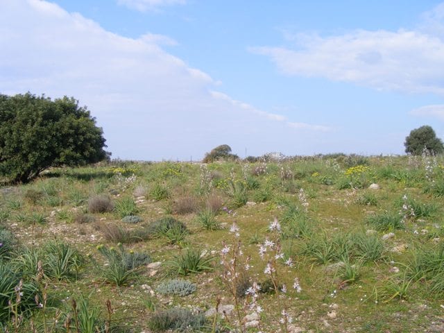 Kefalonia land for sale
