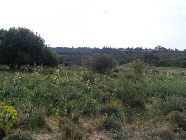 Kefalonia land for sale