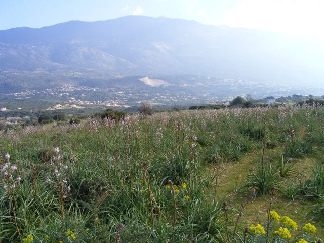 Kefalonia land for sale