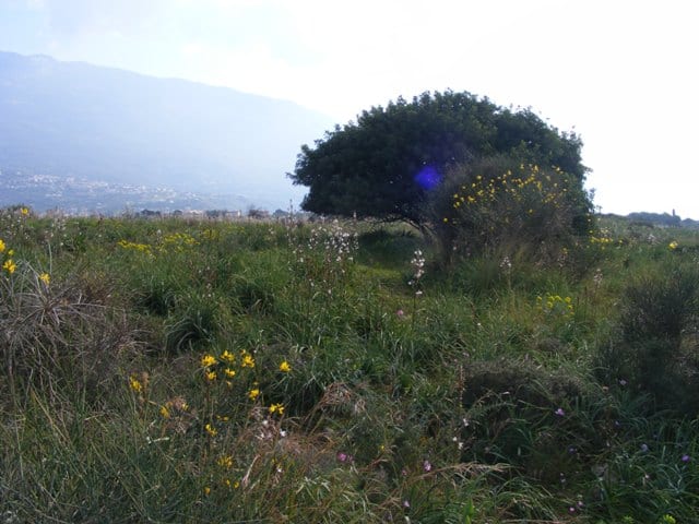 Kefalonia land for sale
