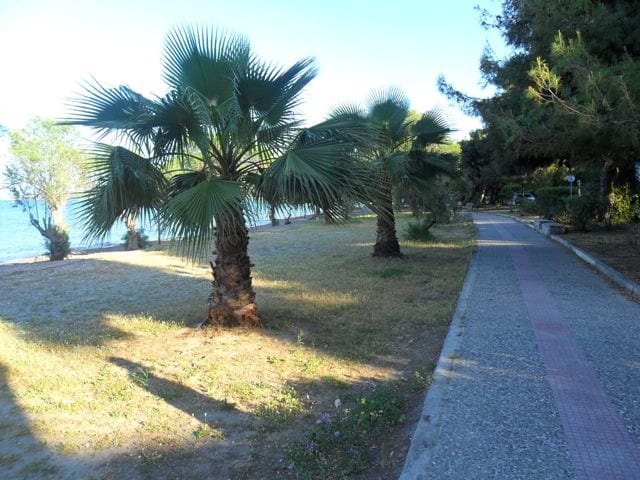 house with separate apartment at Dilesi