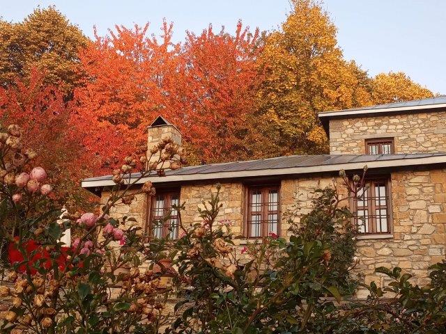 Nymfaio guest house