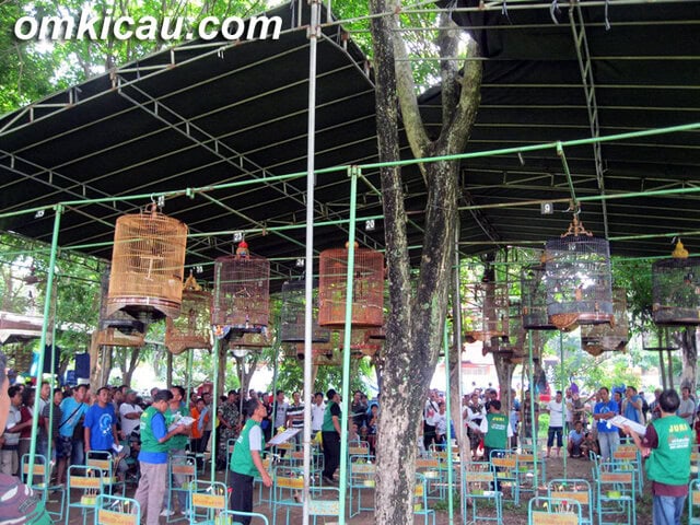 SUASANA LOMBA PADA SESI MURAI BATU DI KRAKATAU TEAM KARANGANYAR
