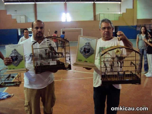 Suasana lomba burung trinca ferro di dalam gedung di Brazil