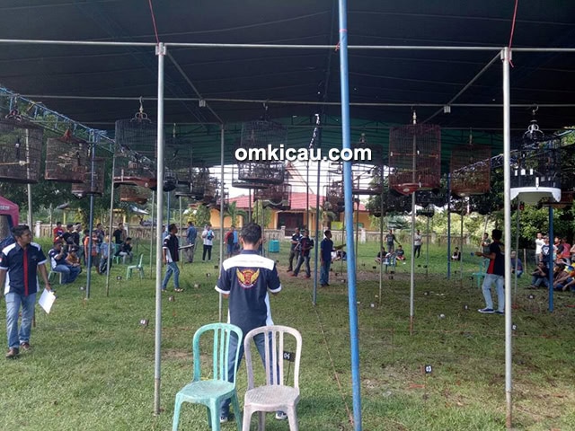 lomba burung berkicau Yamaha Cup 4 Bangko