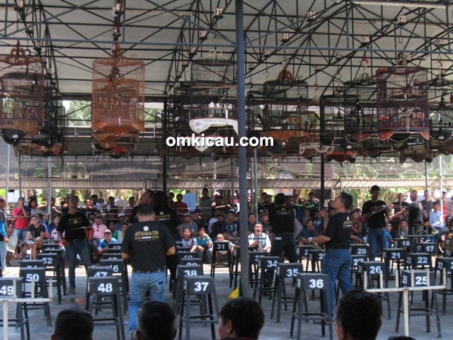 Astadasa Cup Dewa 99 Astadasa Cup Dewa 99