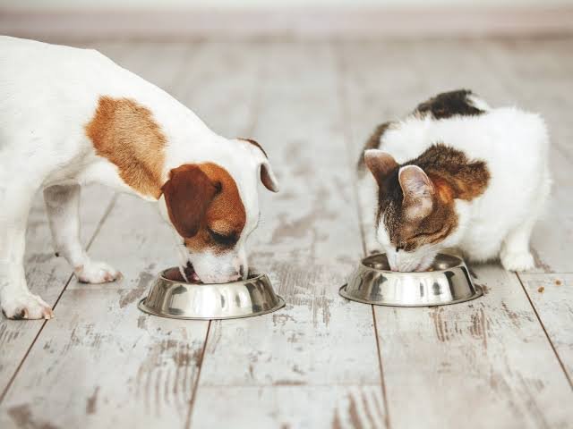 Assisi Pet Care acquires Forthglade for undisclosed sum.
