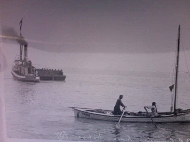 Native Fisheries