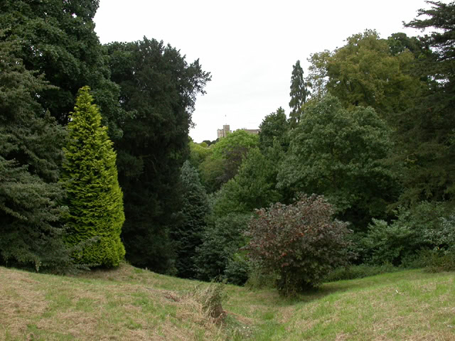 wild gardens