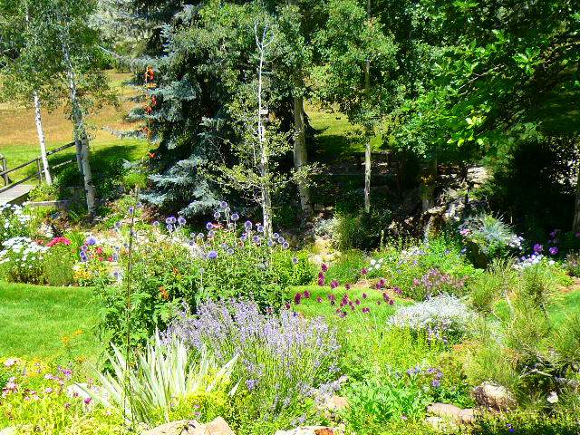 wildlife garden biodiversity