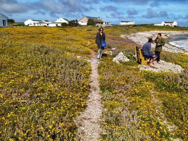 walking