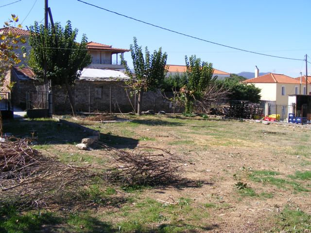 Evia renovated house for sale at Koskina