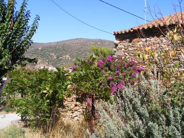 Evia renovated house for sale at Koskina