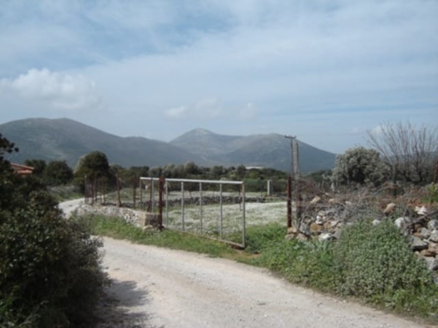 sale evia building land