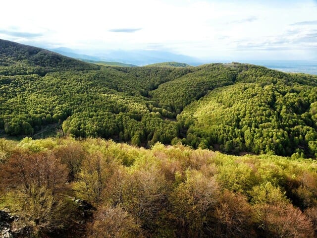Nymfaio guest house