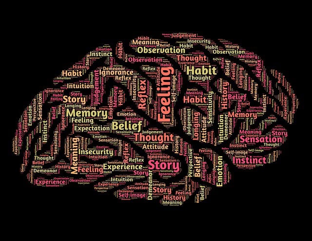 brain