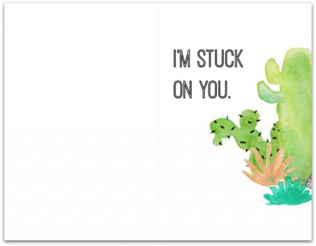 Greeting Card Sample Cactus