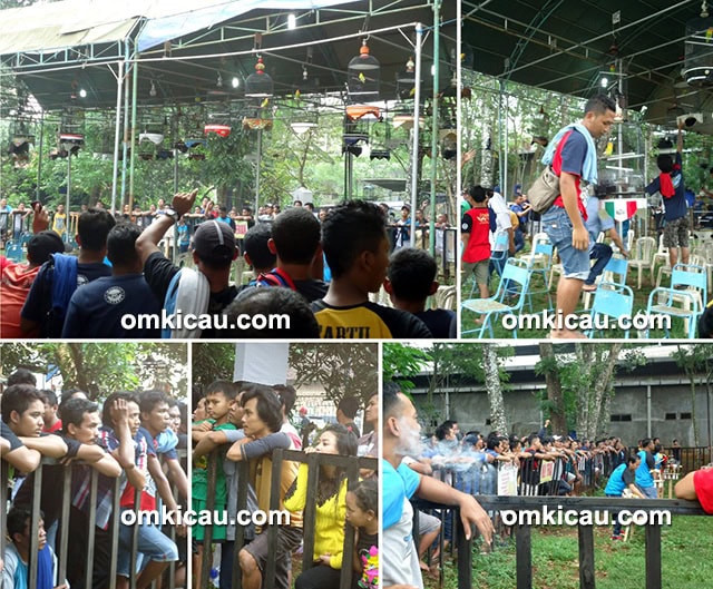 lomba burung berkicau Balok Ngabul Cup 2 Jepara