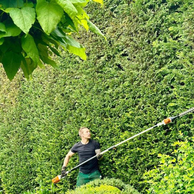 Gärtner schneidet eine Hecke mit einem Heckenschneider von Stihl