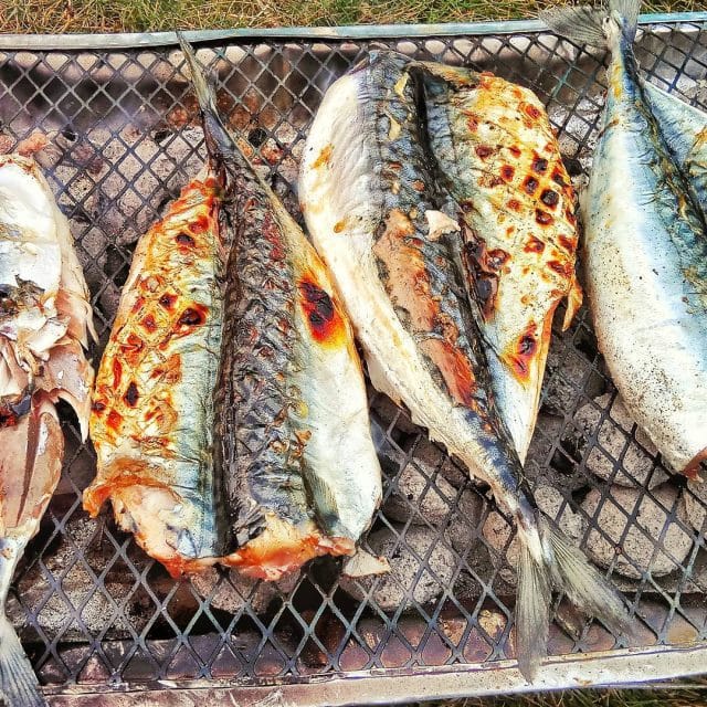 Fishing_tour_norway_grill-fish