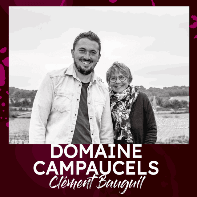 DOMAINE_CAMPAUCELS-V@2x