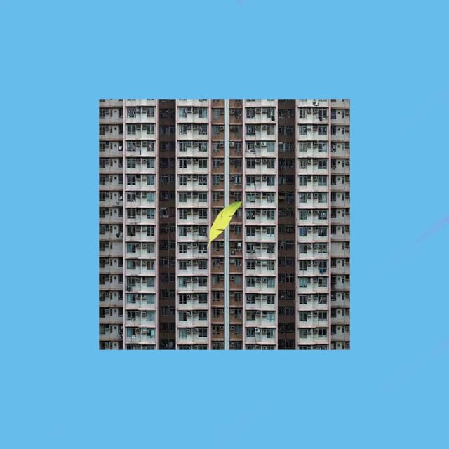 MediumPoesia, poesia cinese, poesia contemporanea, app, appstory, play store, poeshi, chinese poetry, poetry,