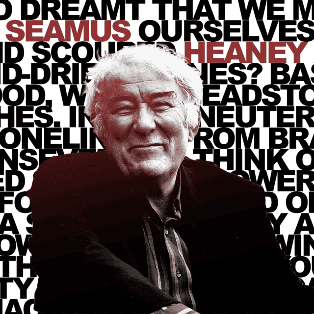 seamus heaney, lavoro sul campo, biblion edizioni, antiniska pozzi, poesia dell'altrove,