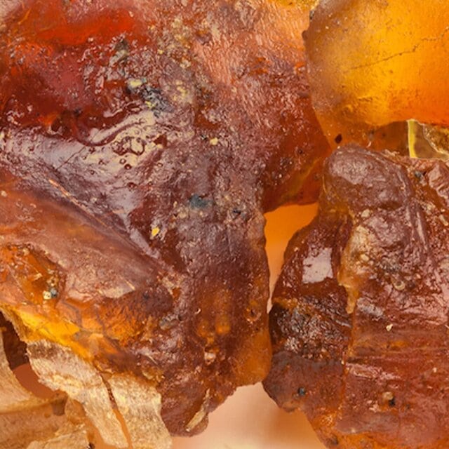 Guess Iconic, Guess, Iconic, Perfume, Fragrance