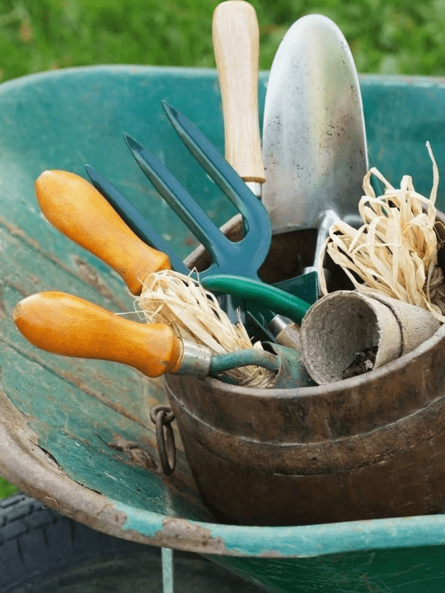 Vintage Gardening Tips Spring Flower Garden Tips-cover image