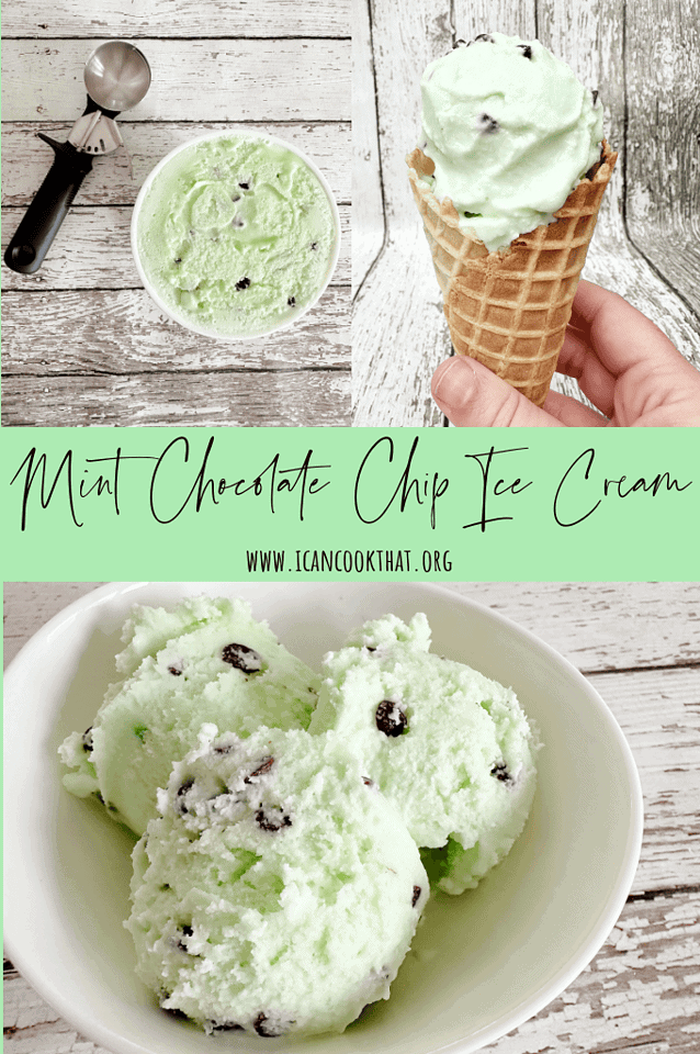 Homemade Mint Chocolate Chip Ice Cream