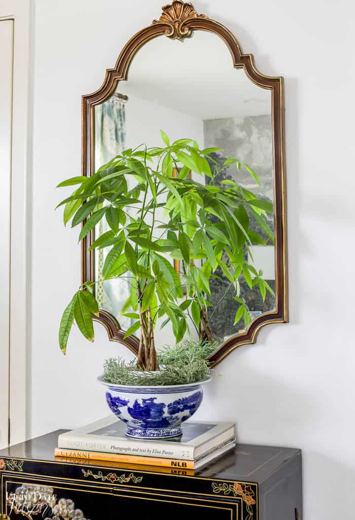money plant in blue and white dish in front of gold mirror on a stack of books sitting upon a black asian cabinet.