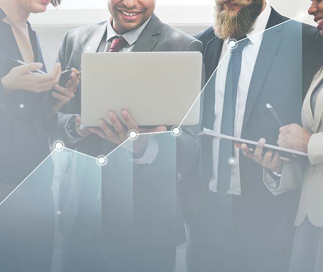 IT Consulting Services