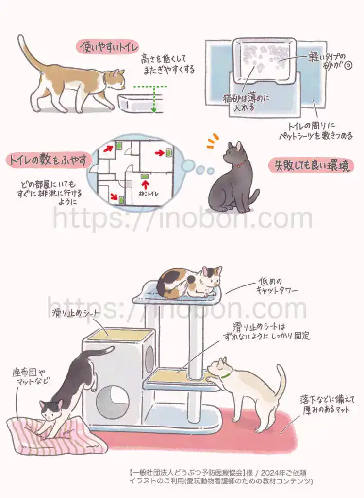 低めのキャットタワー、老猫のためのトイレ、設置する際のポイント