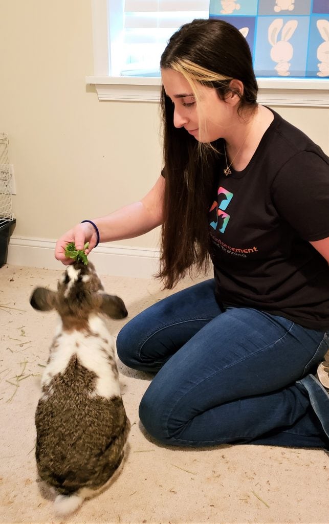Pet trainer