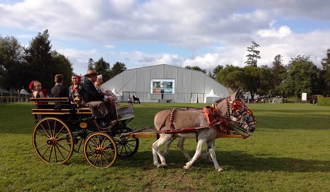Equestria est ouvert à Tarbes