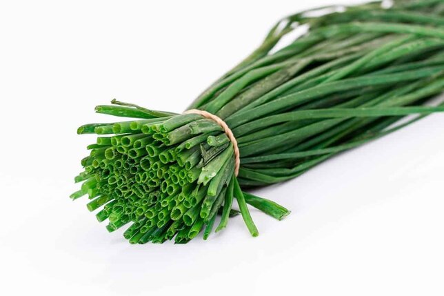 Grow Scallions indoors Grow Scallions indoors