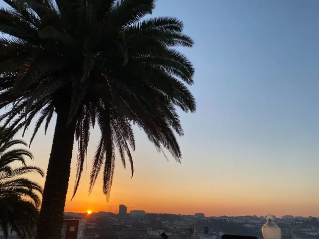 COSA VEDERE A PORTO IN 5 GIORNI?